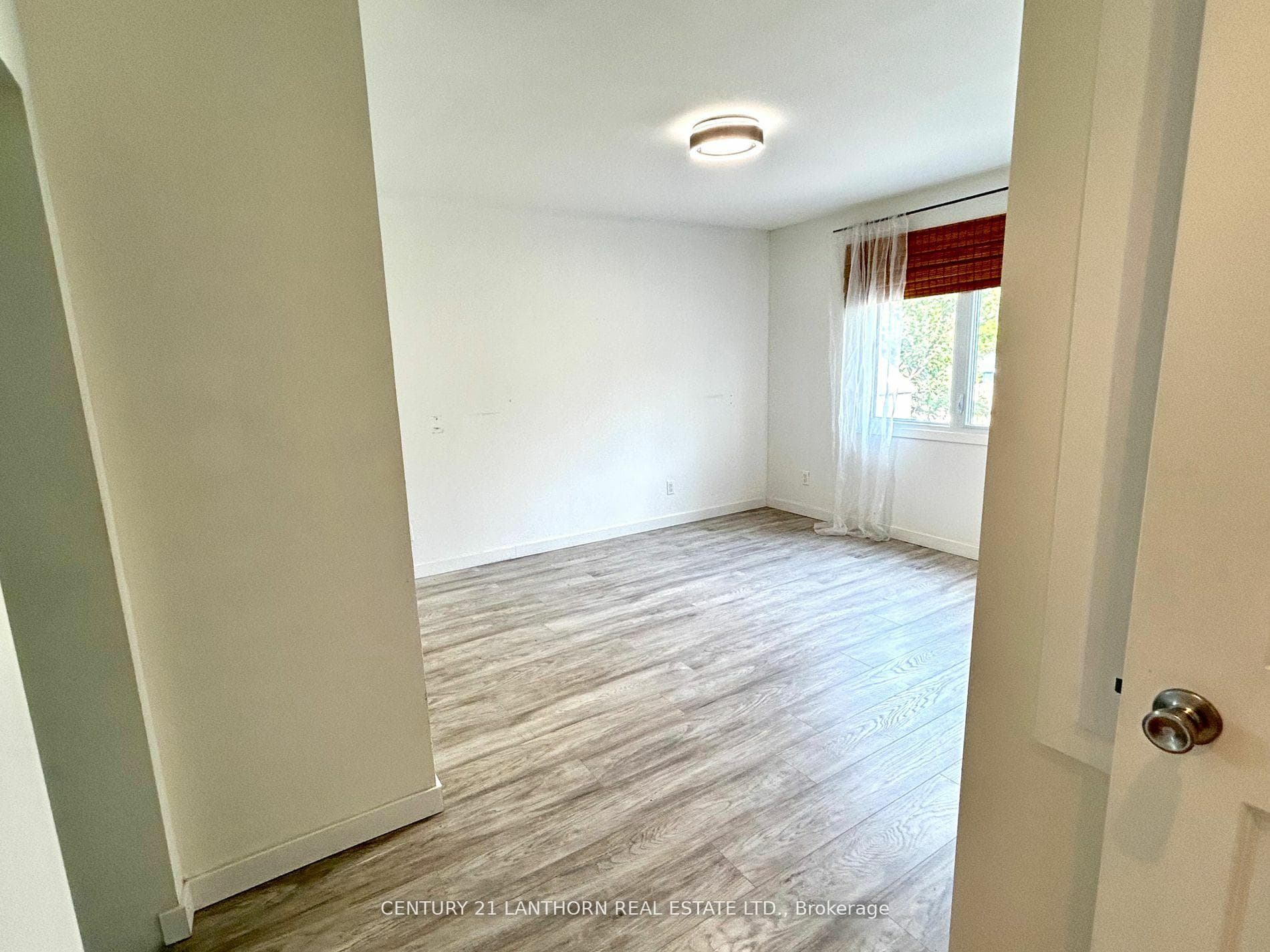 115 Ridley Street photo 17