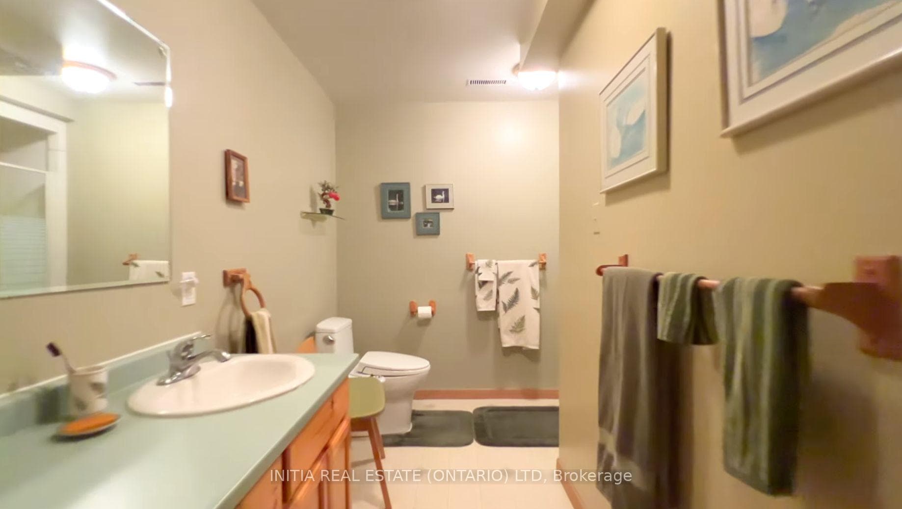 4217 Bluepoint Drive photo 24