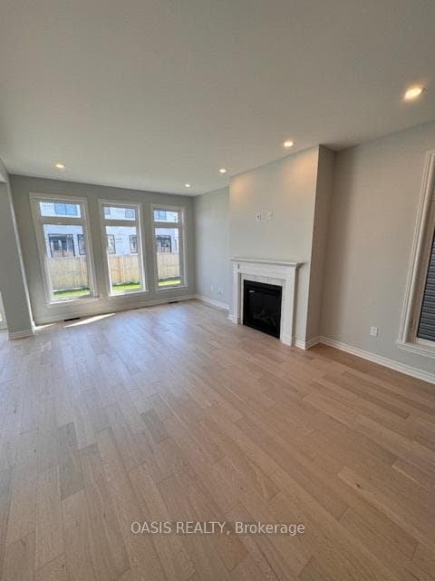 906 ECHINACEA Row photo 6