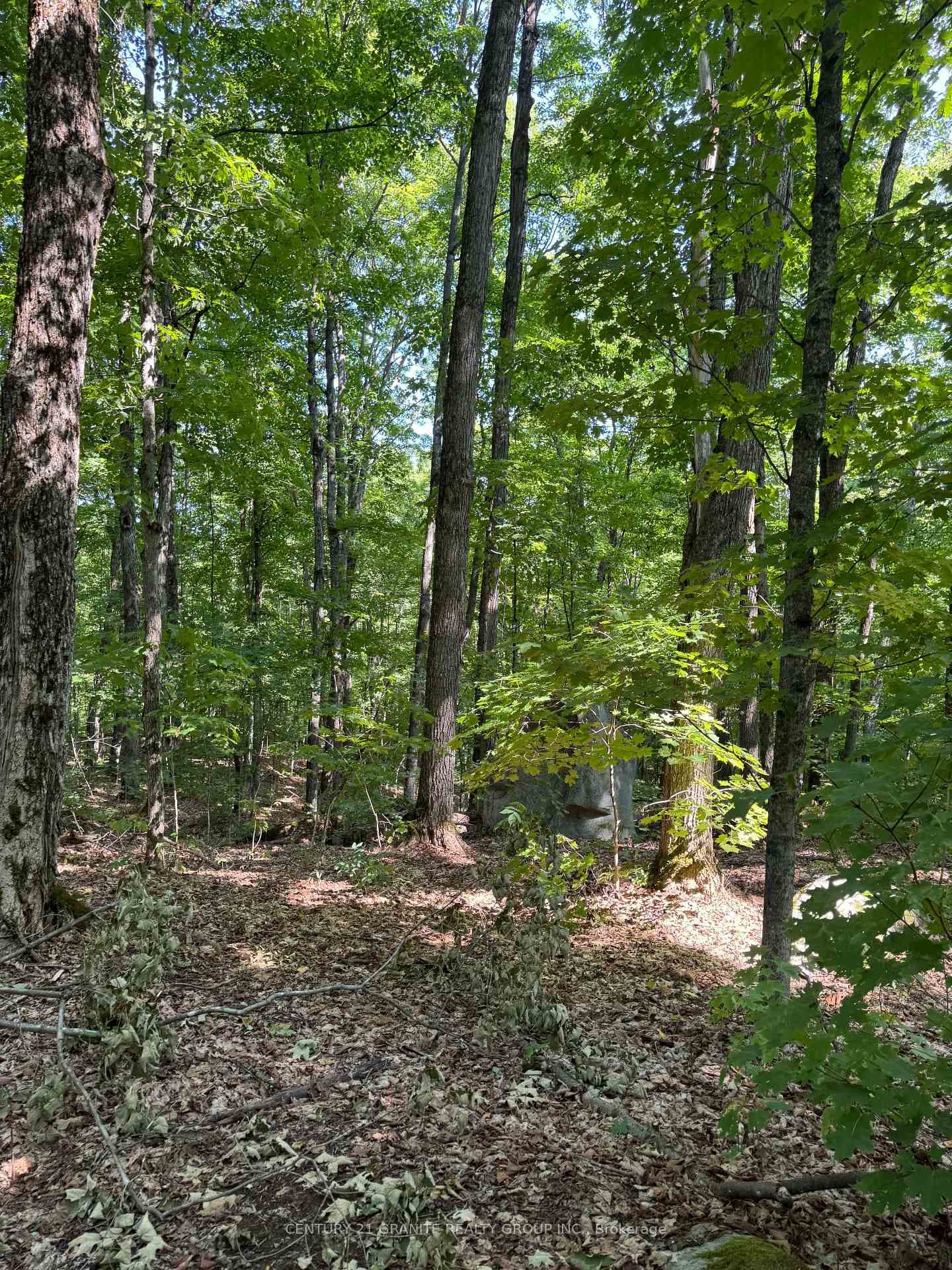 261A Copeland Lake Road photo 15