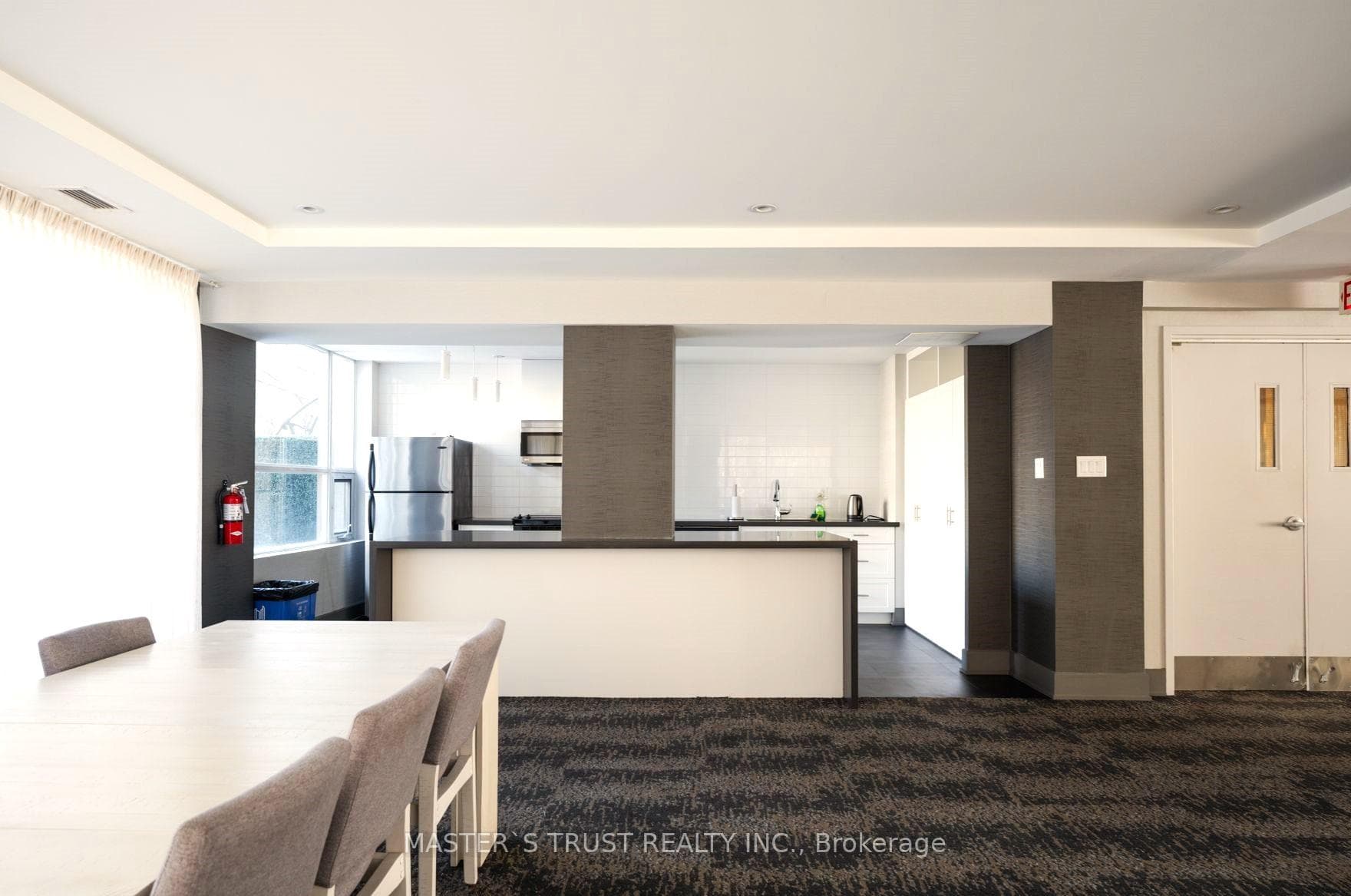 18 Beverley Street Unit 321 photo 17