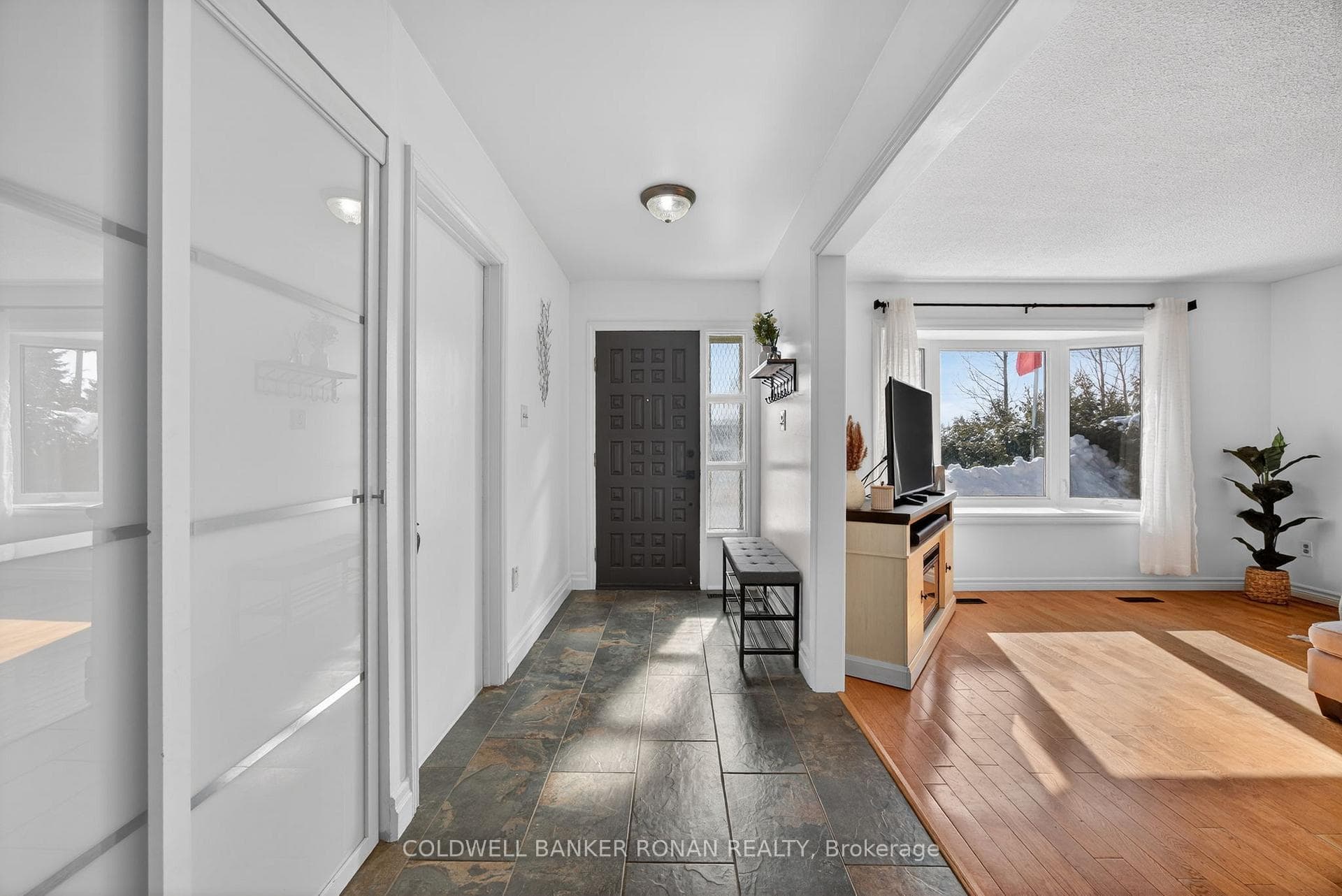 191 Ellwood Drive photo 3