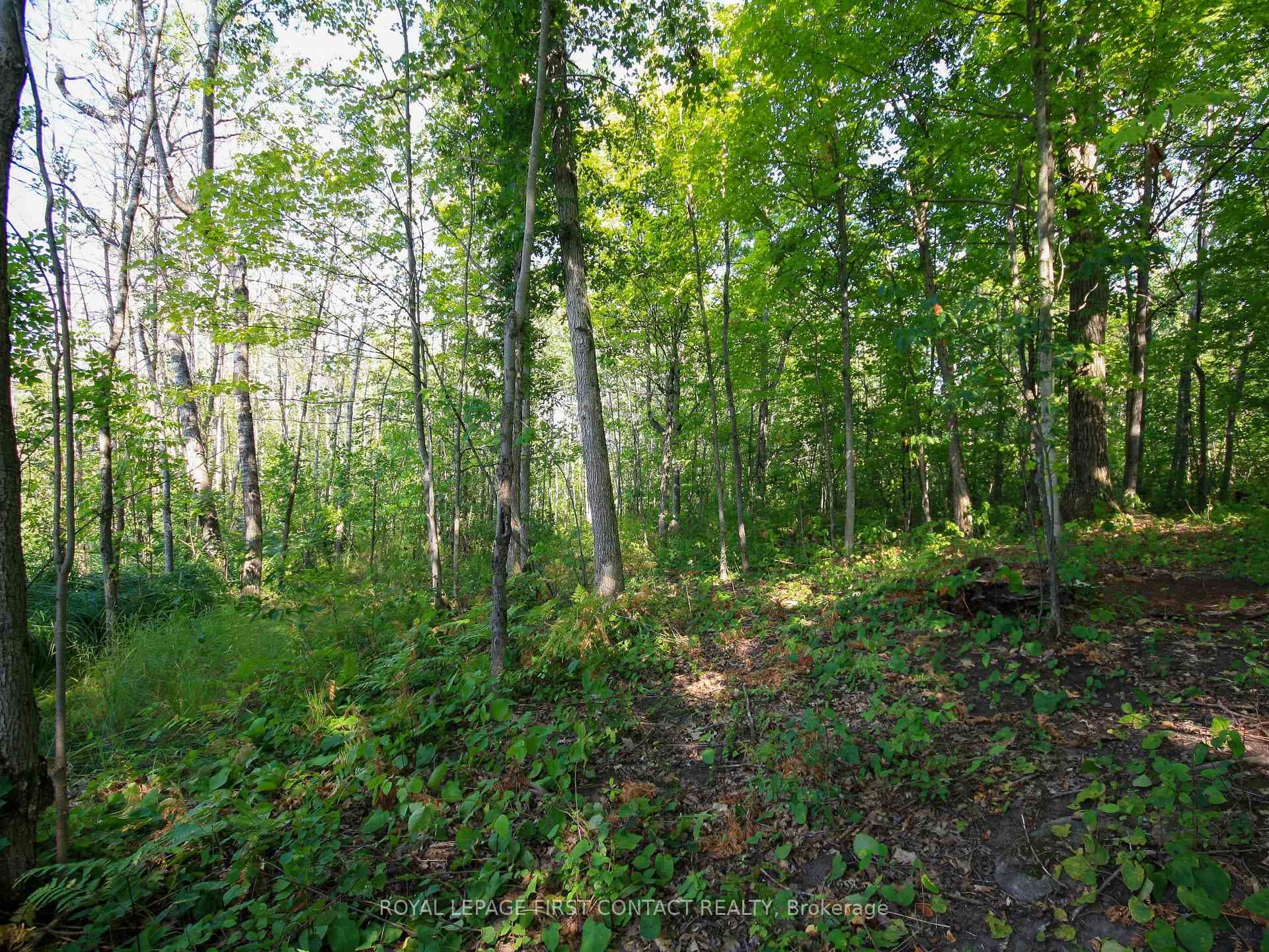 213 Birch Acres Drive photo 33