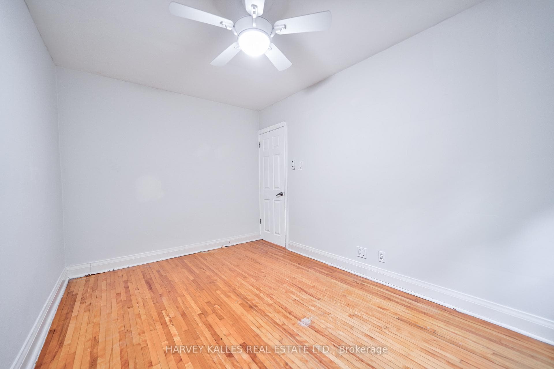 389 Cleveland Street photo 20