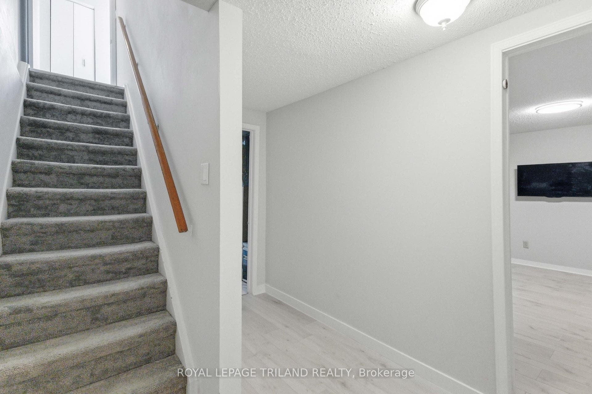 374 Homestead Court photo 36