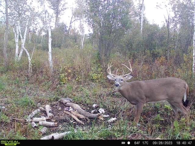 0 LILAC ROAD AT PIGEON LAKE ROAD N/A photo 14