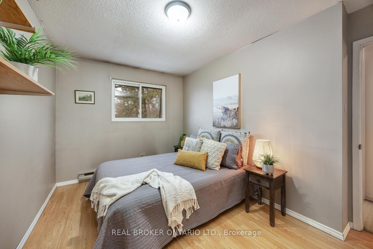 37 Macey Court photo 17