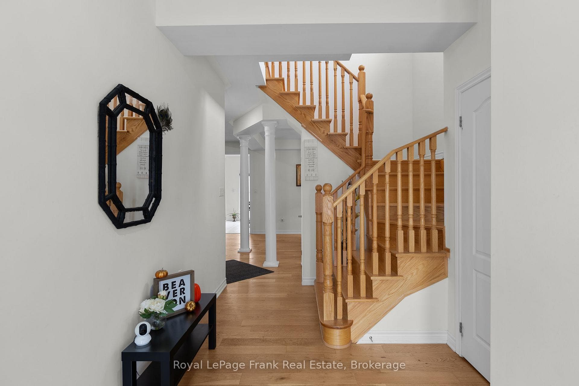 18 Stoddart Street photo 12