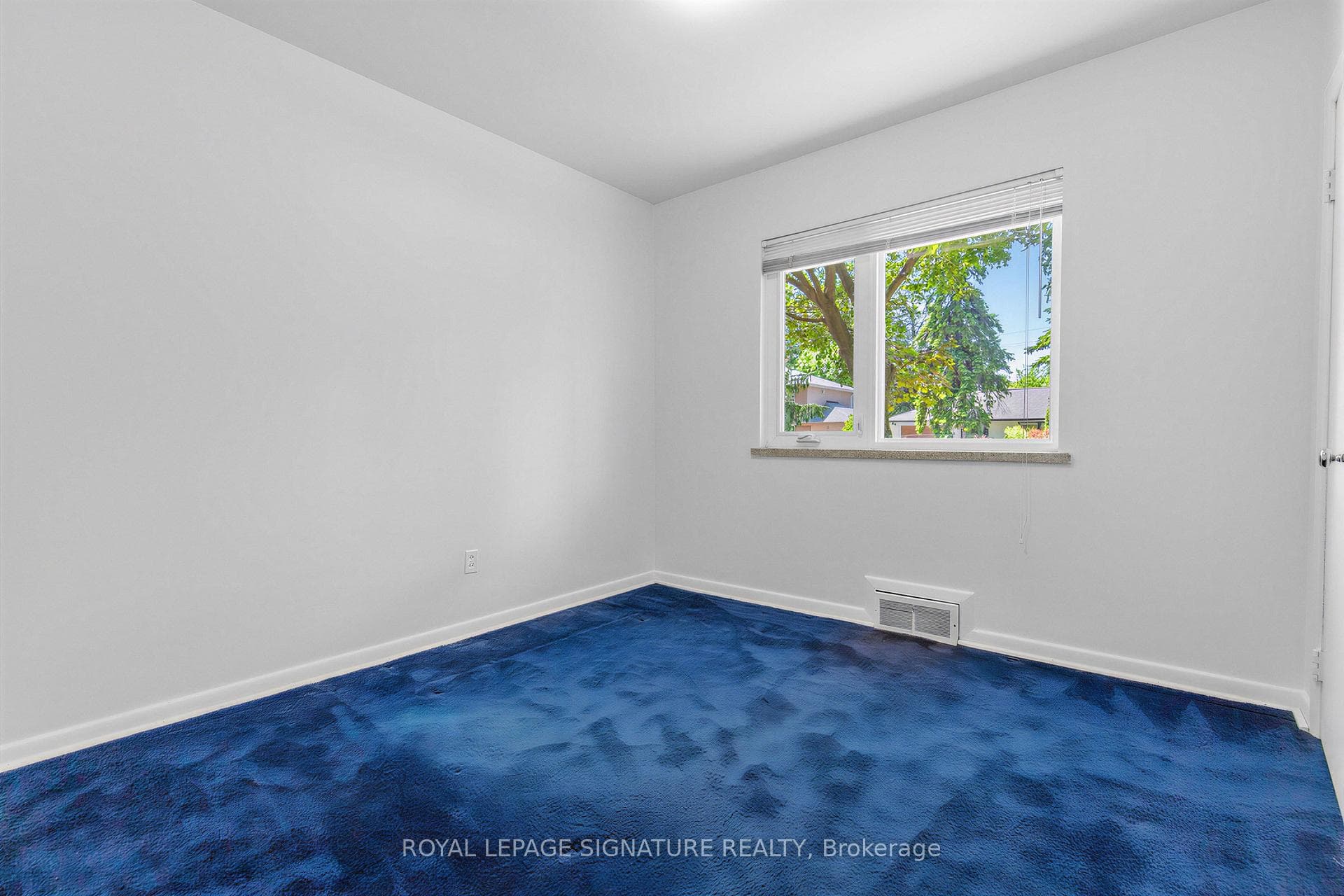 Blank Canvas (existing BR)