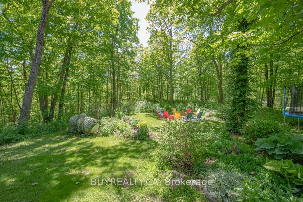 126 Forestview Drive photo 12