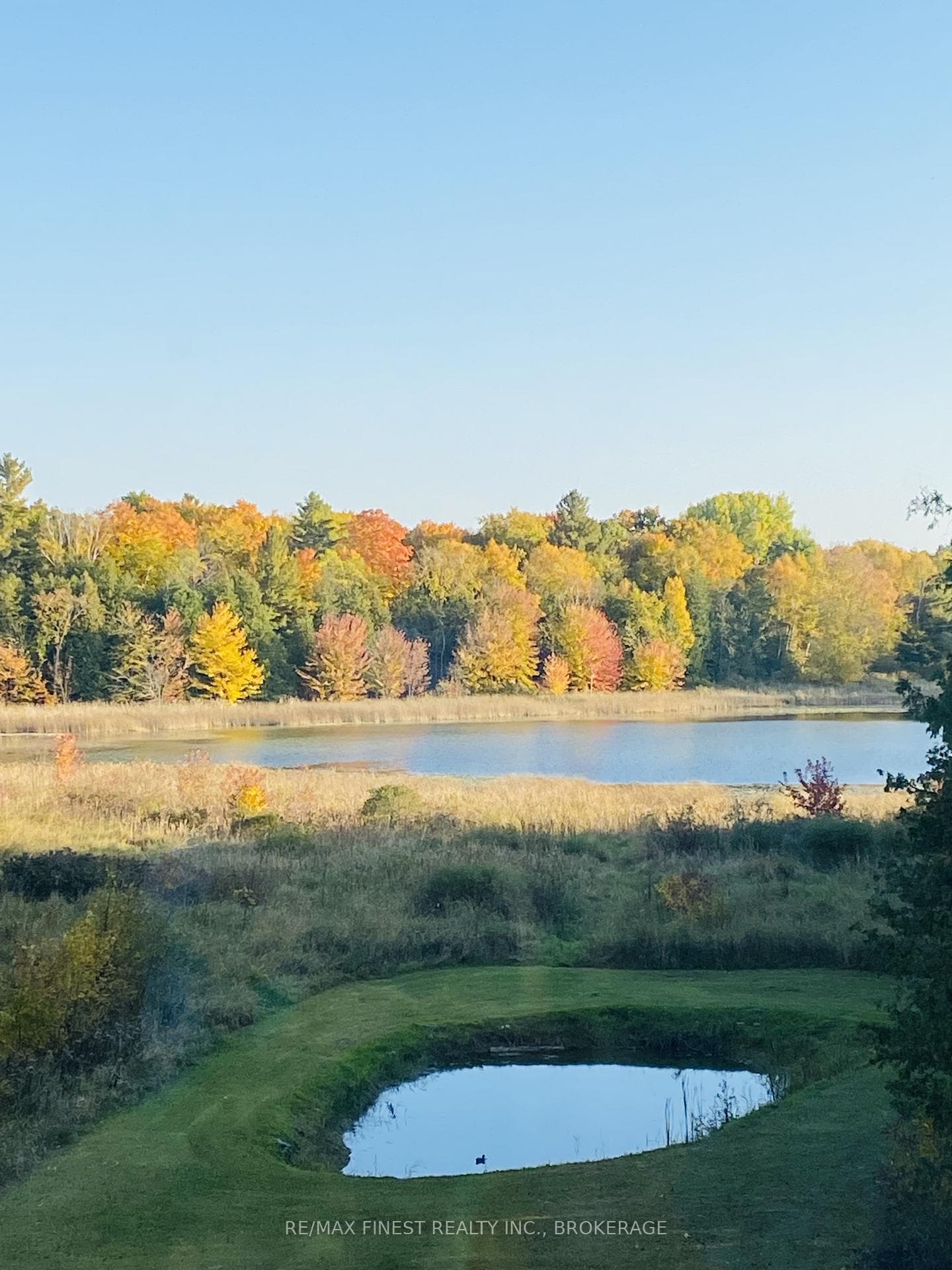 180 Napanee Road photo 29