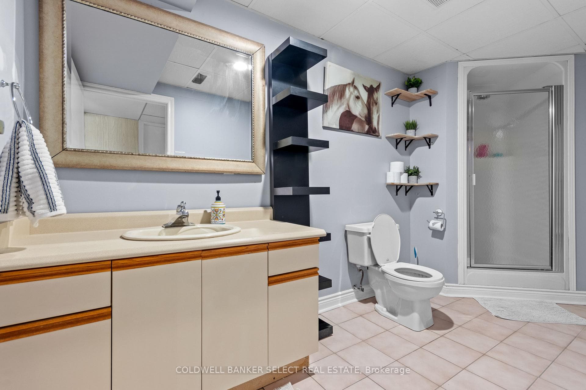 BSMT 3-piece bathroom
