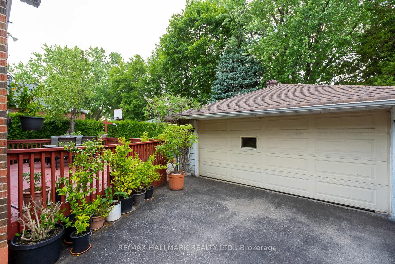 945 Pharmacy Avenue photo 38