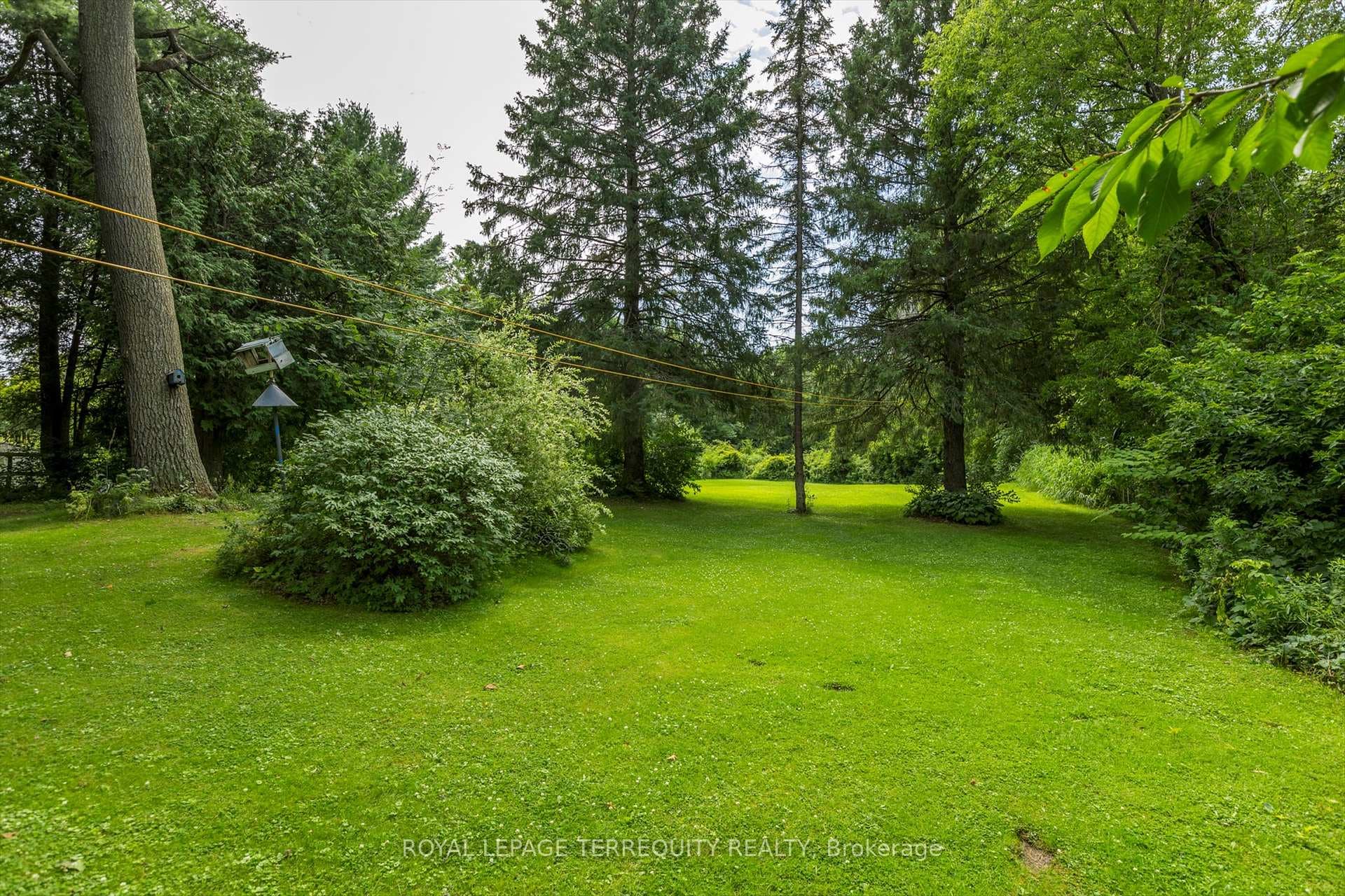 53 Concession Street photo 35