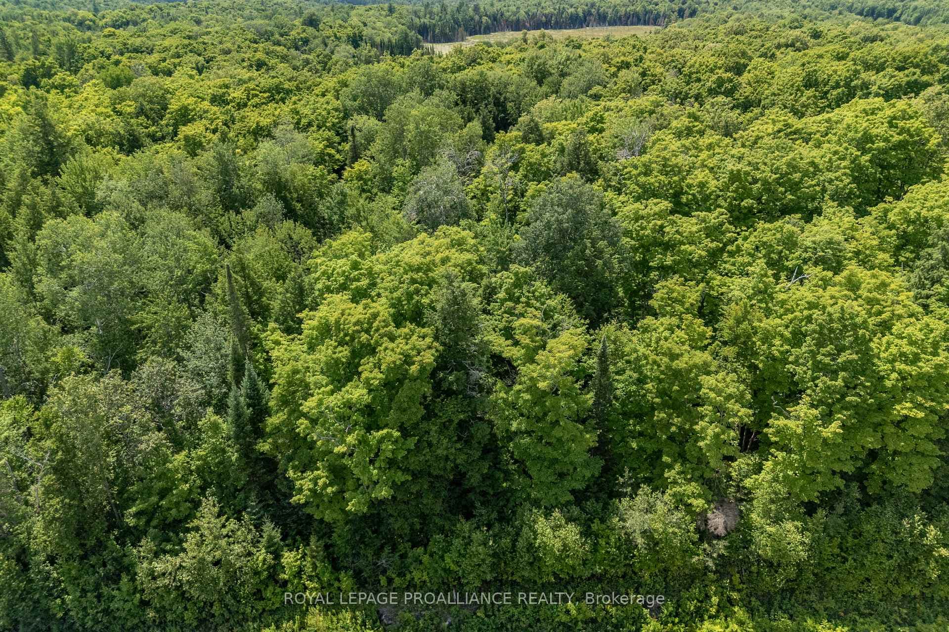 0 Buckshot Lake Road photo 5