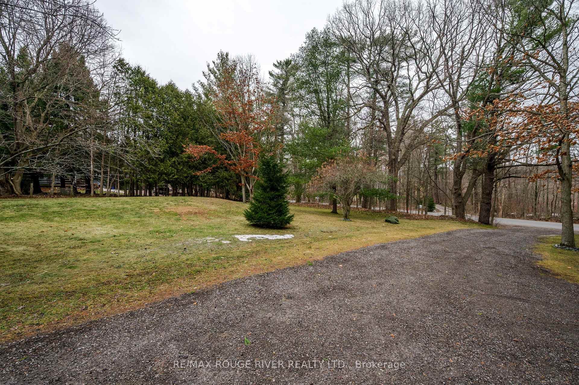 4206 Rice Lake Drive photo 6