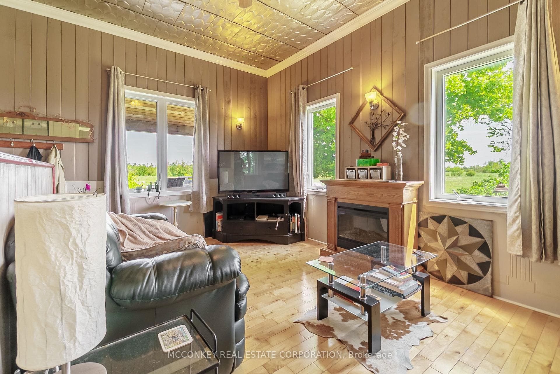 Electric Fireplace