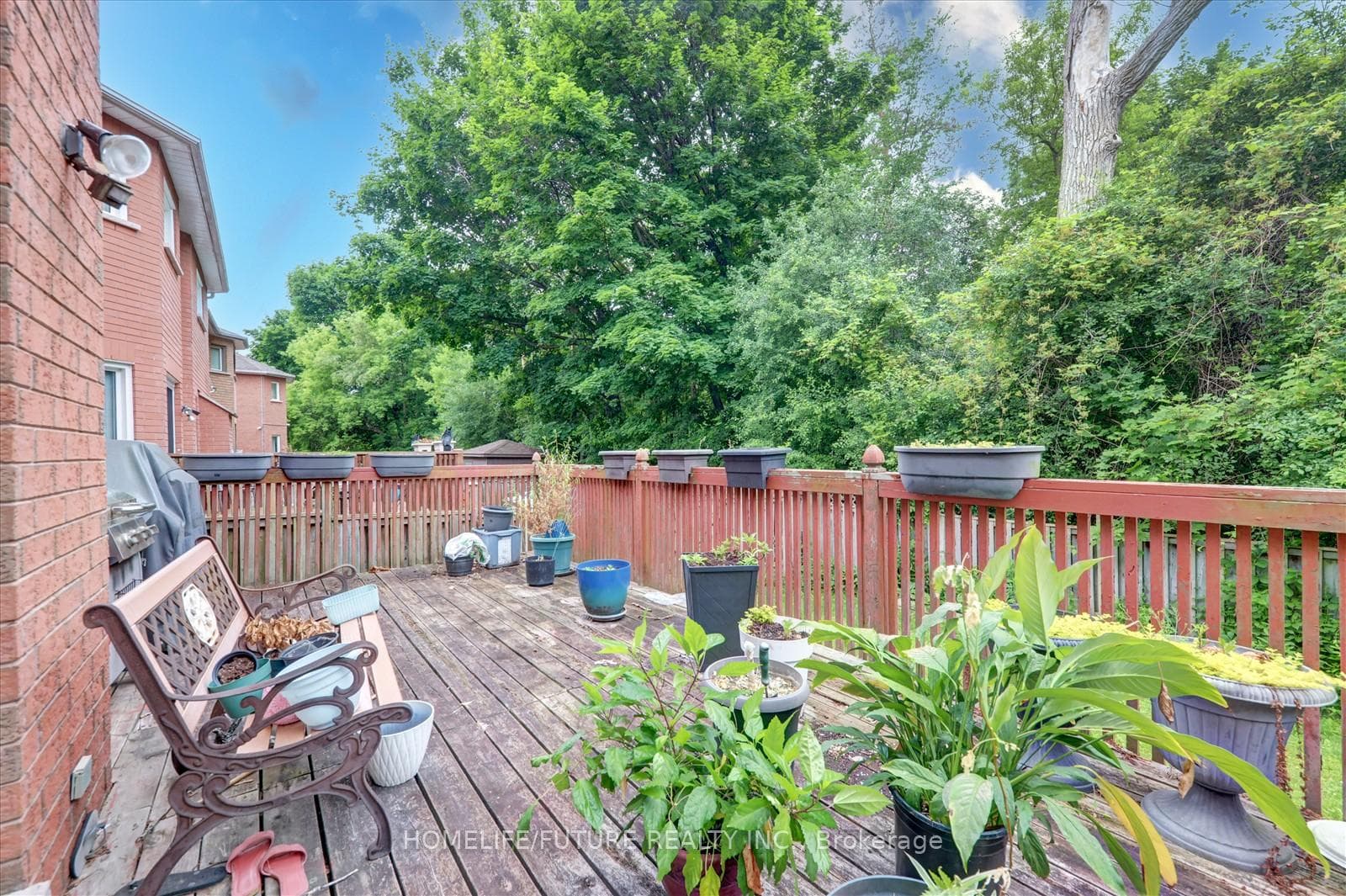 10 Hania Terrace photo 23