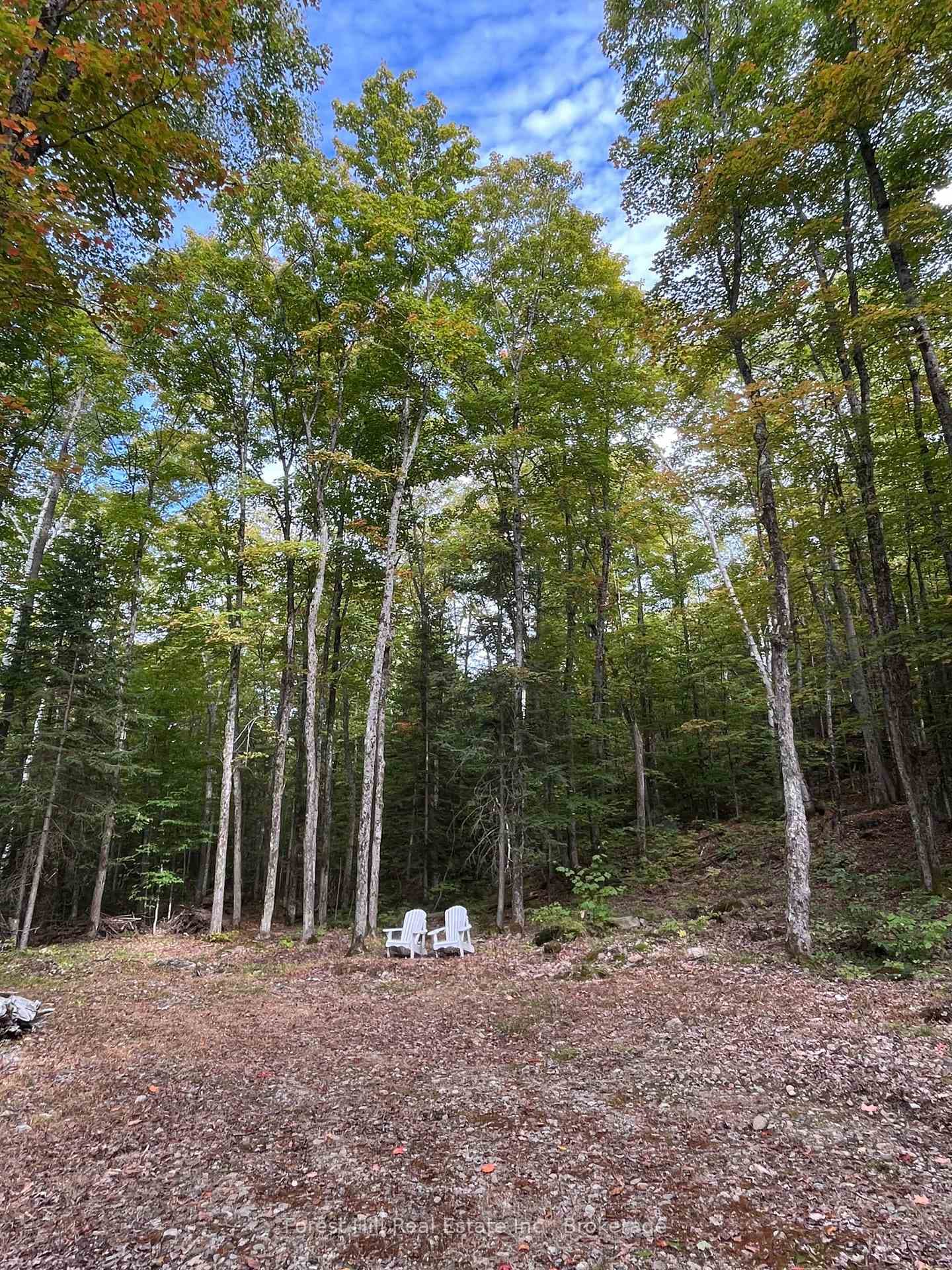 4488 Kawagama Lake Road photo 3