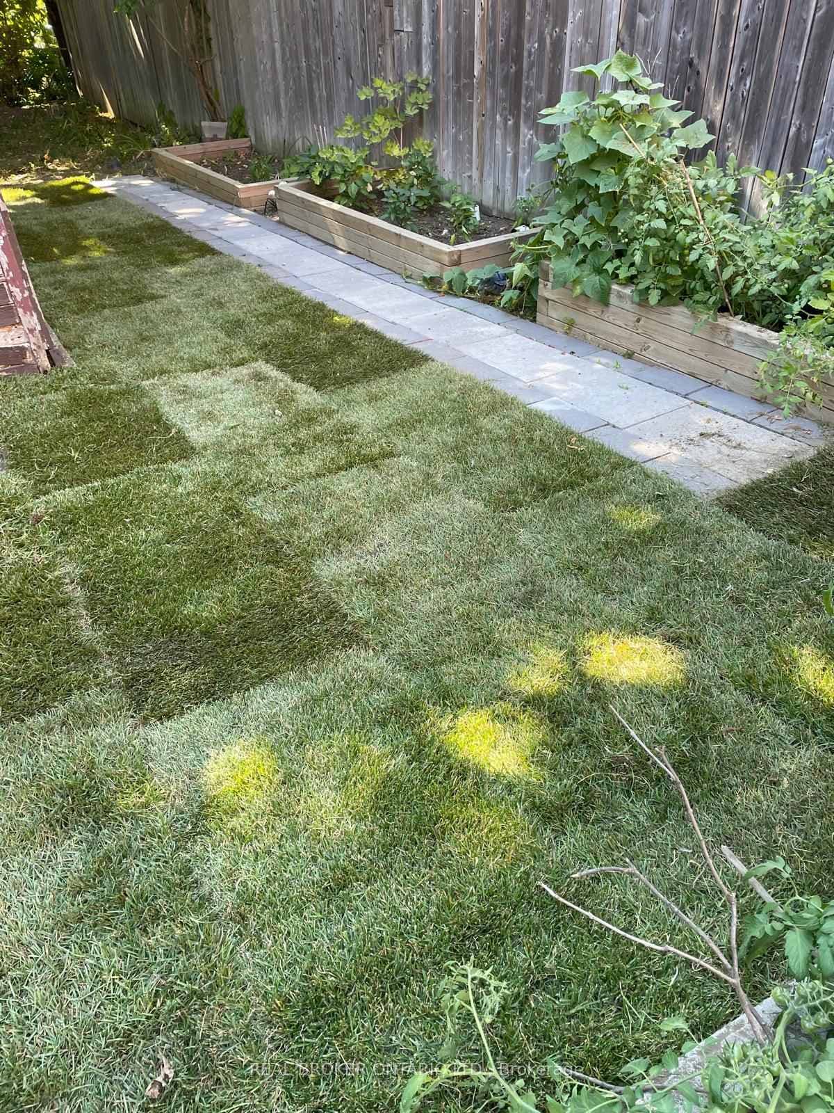Sod & vegetable beds in early Summer