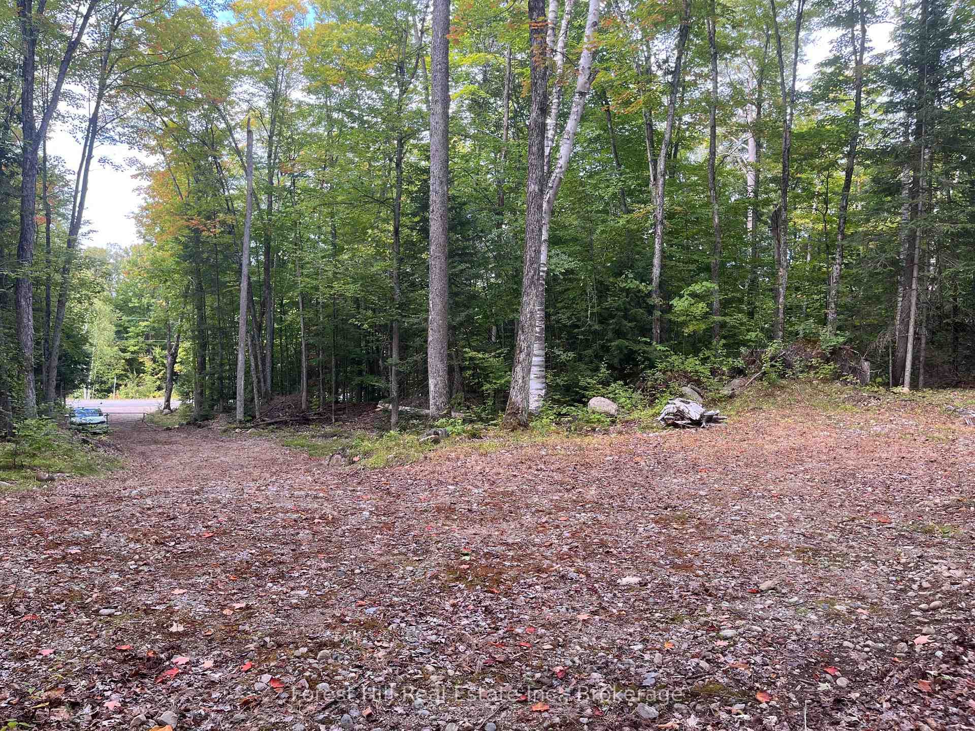 4488 Kawagama Lake Road photo 6