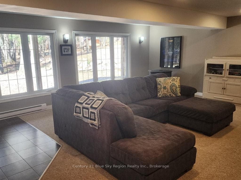 Pellet Stove - Basement