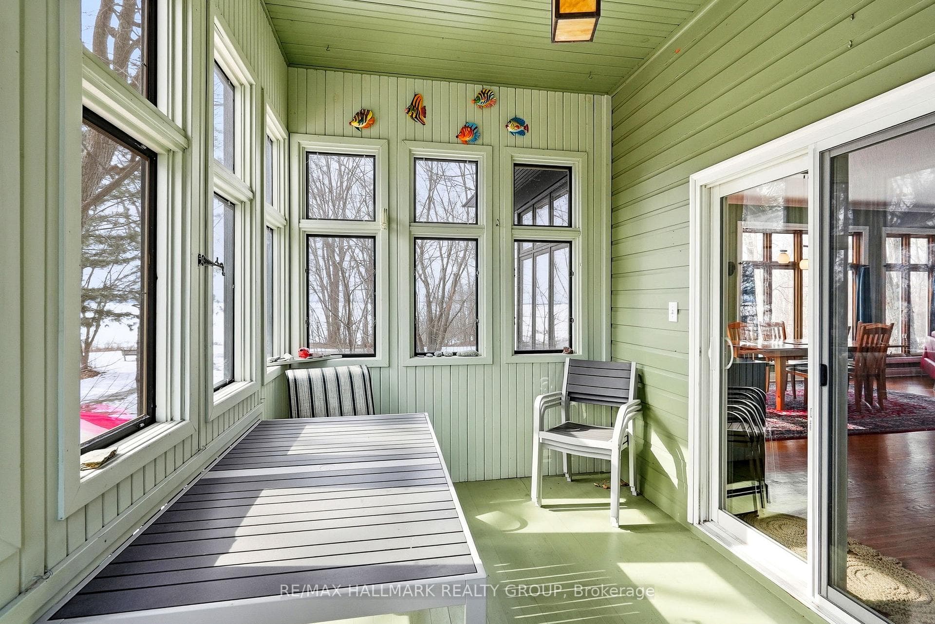 53 Scrivens Street photo 35