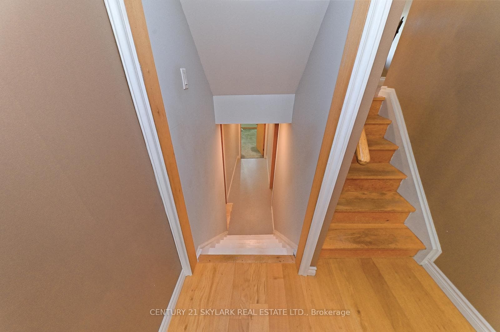 16 Garside Court photo 32