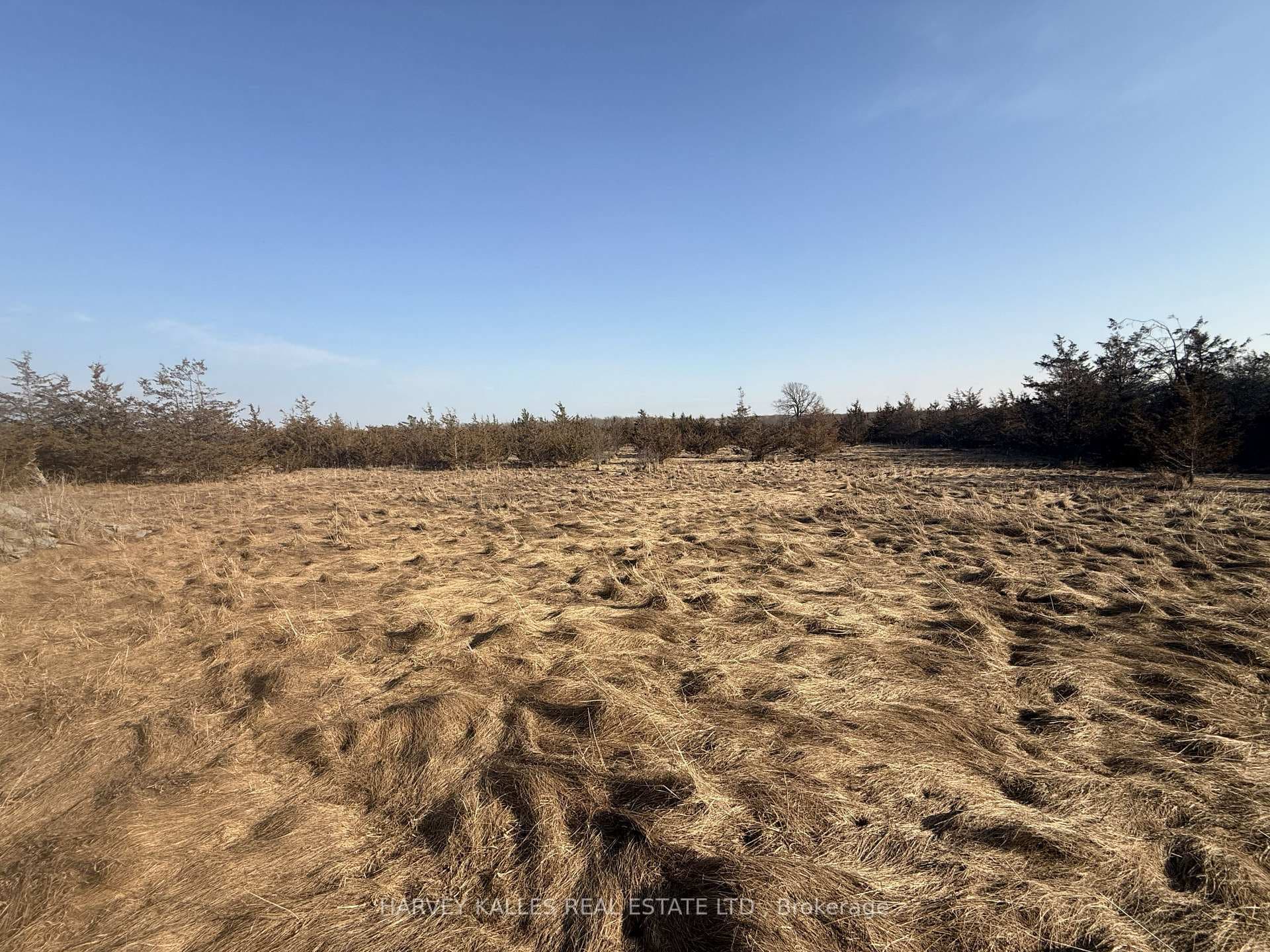 Lot 63 Oram Road photo 2