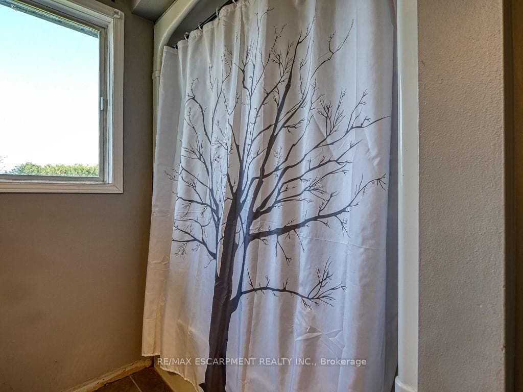 4 Rosemarie Boulevard photo 19