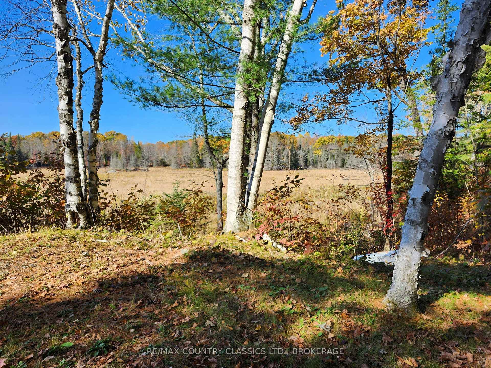 1116 Greer Road photo 5