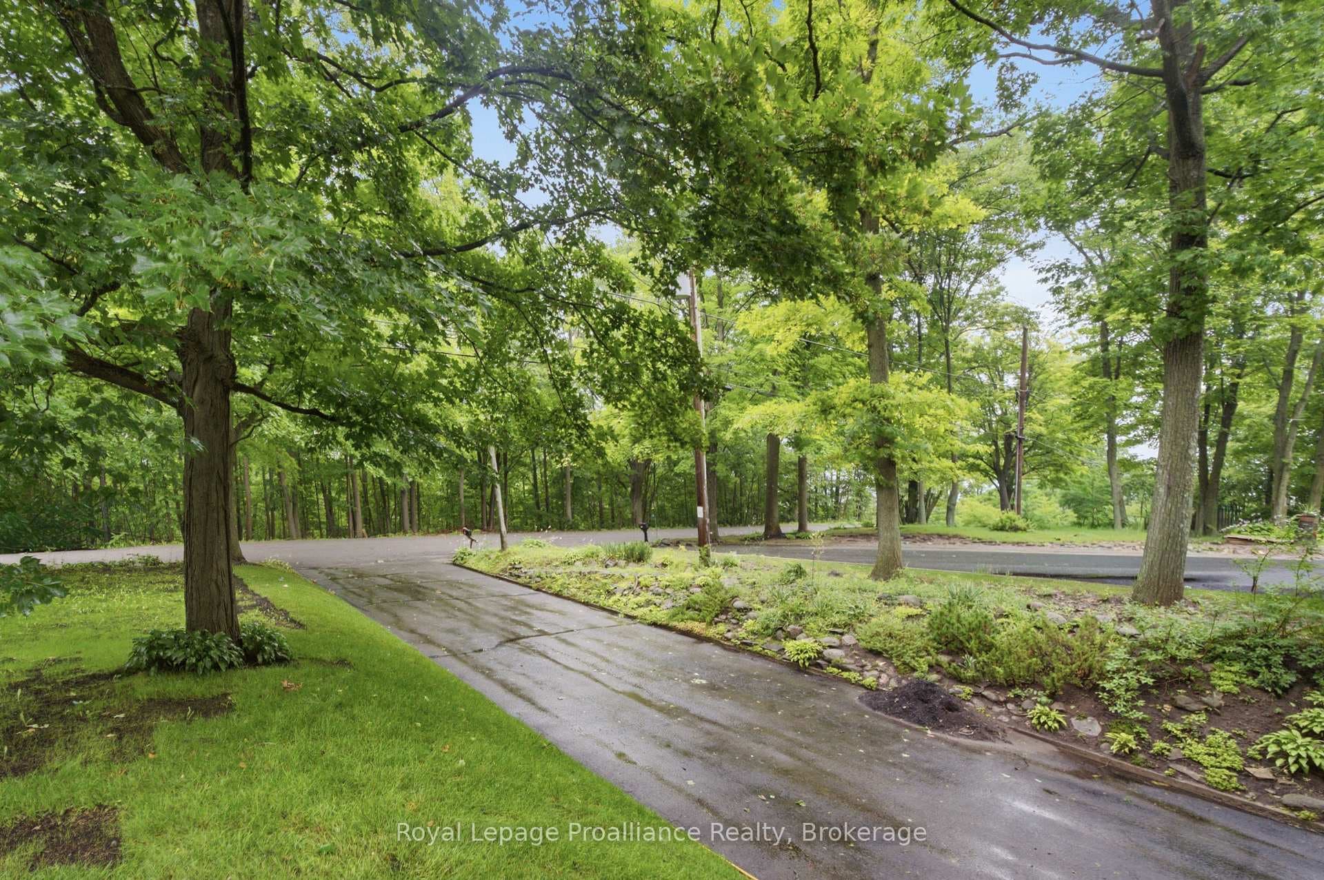156 Pinehill Crescent photo 47