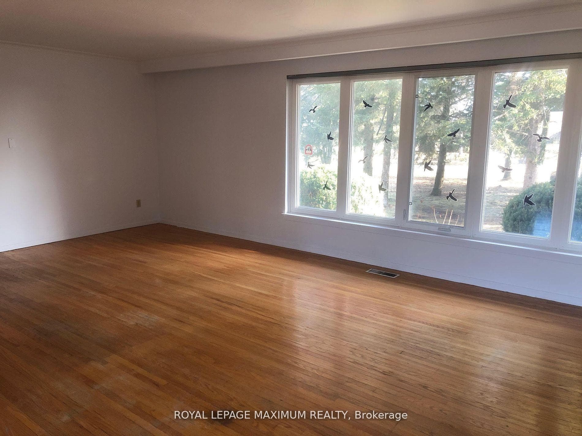 22 Diana Drive photo 11