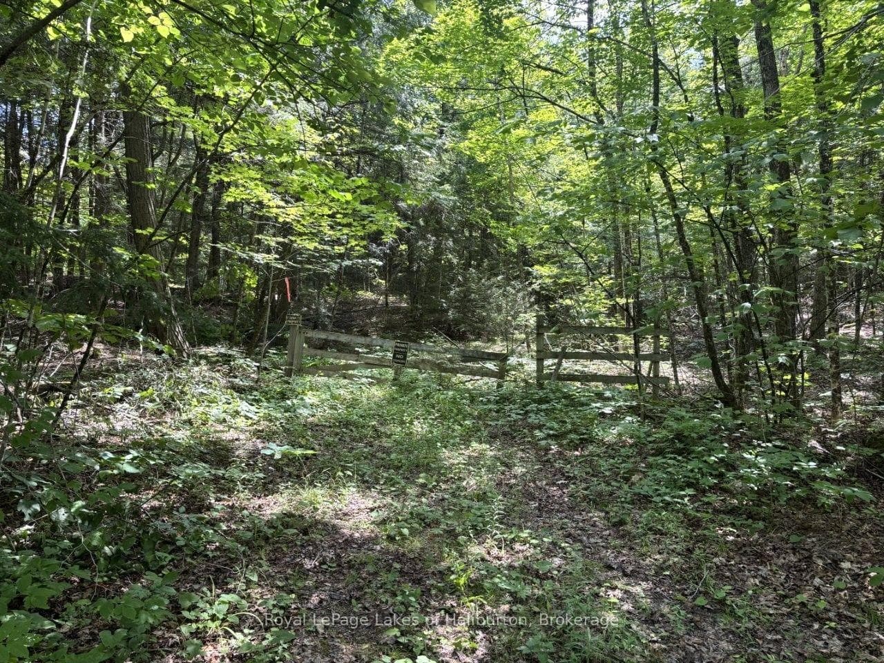 Beside 1456 Crystal Lake Road photo 37