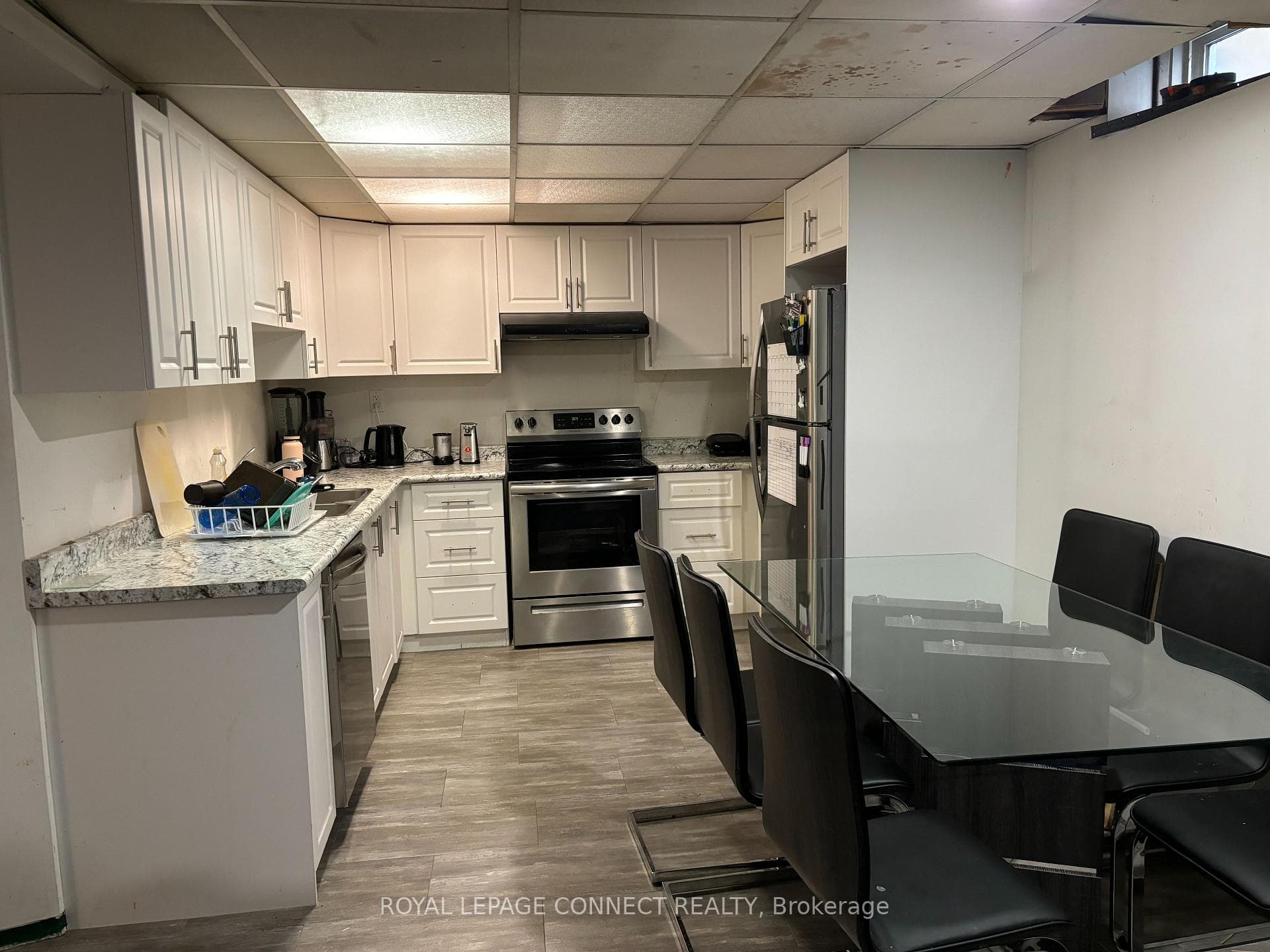 Basement Combination Kitchen & Rec Room