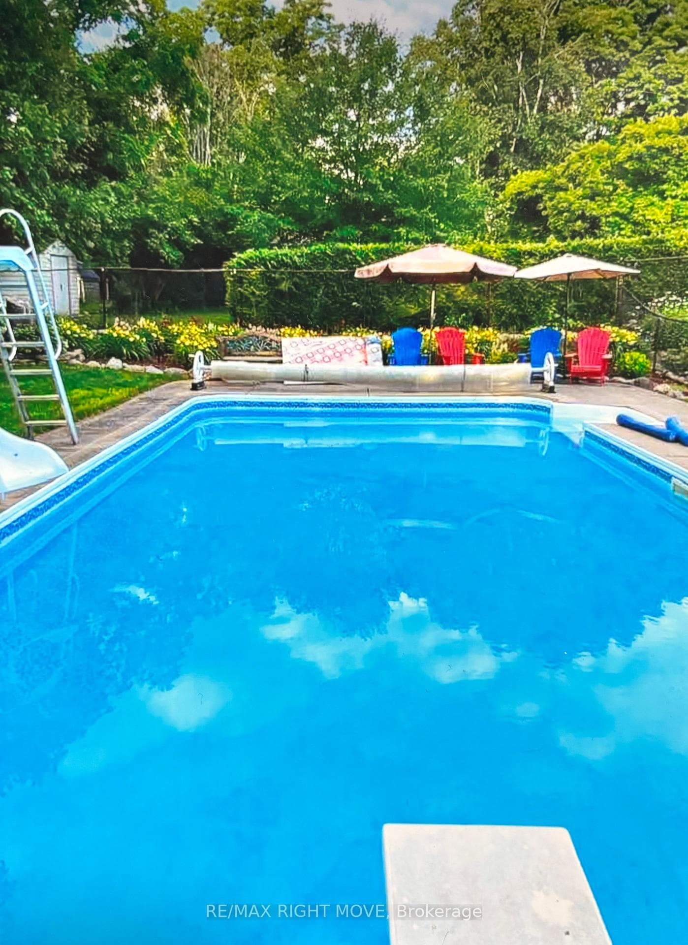 18 x 36 salt water pool