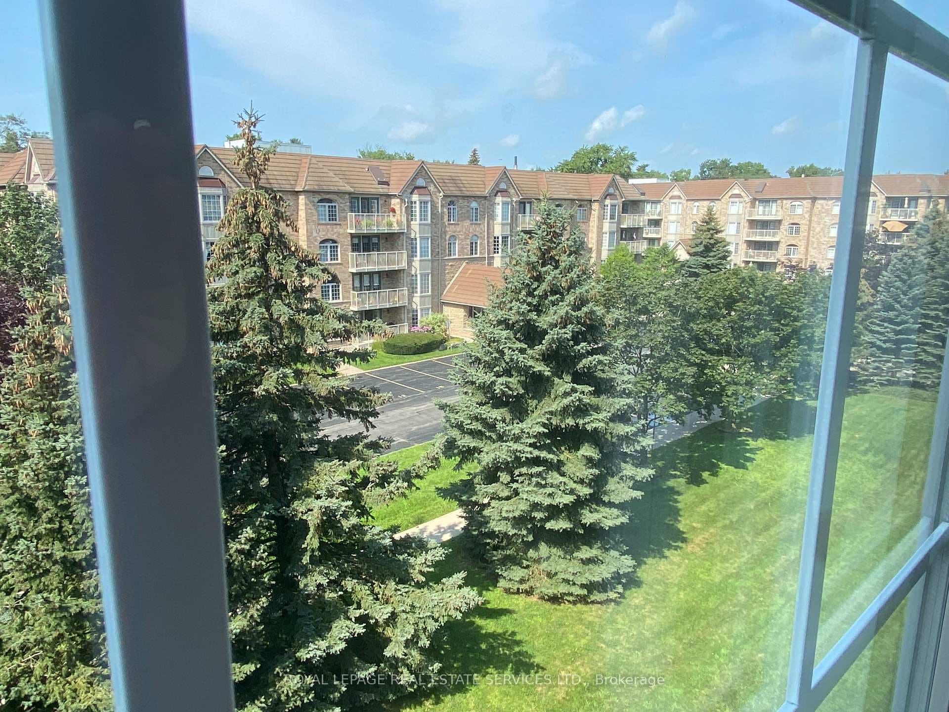 views from window of green space