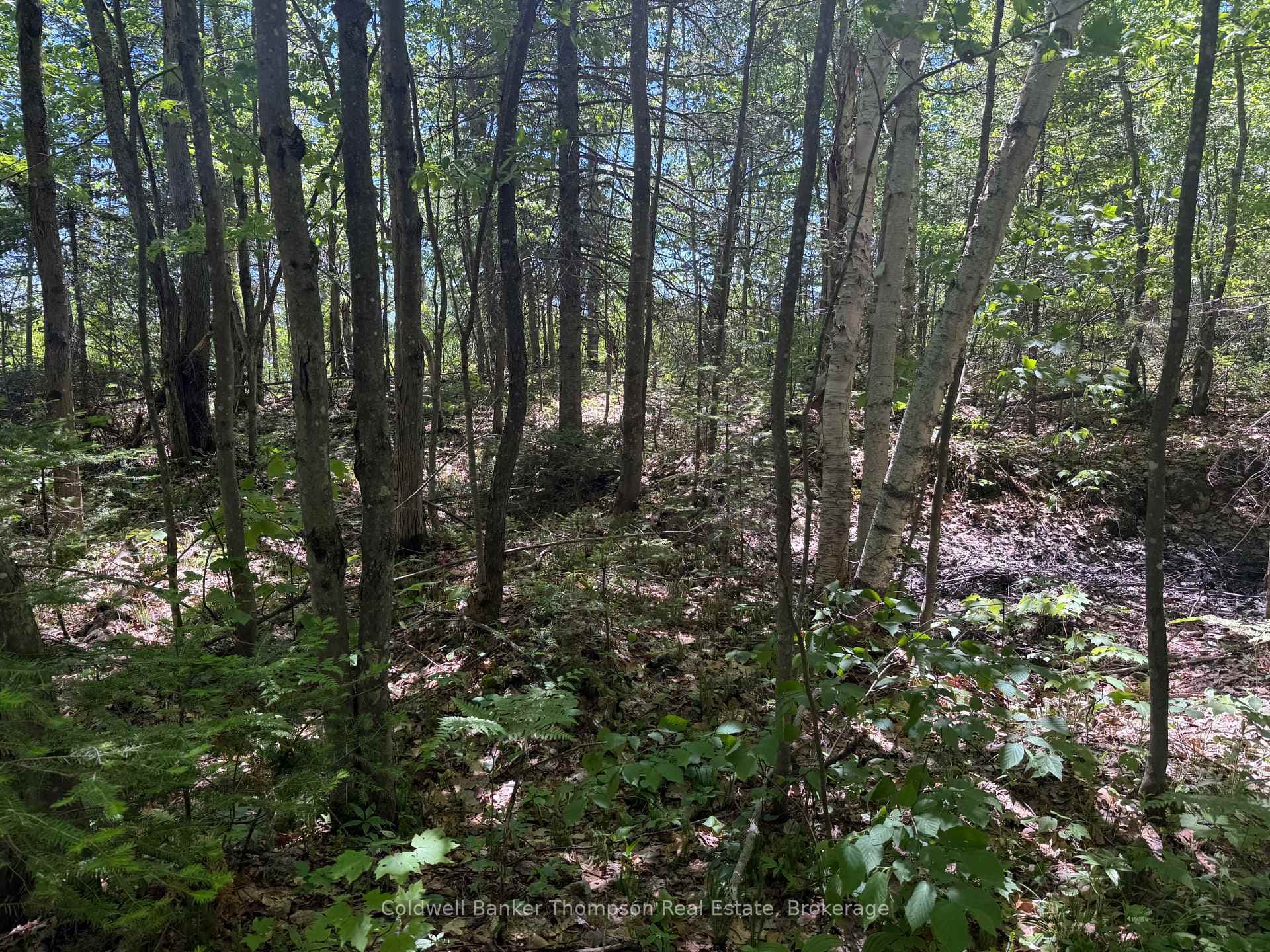 0 Beaver Lane photo 21
