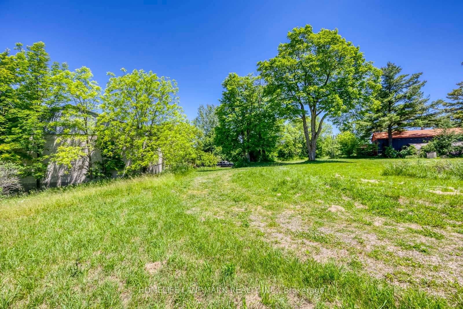217 Carlisle Road photo 25