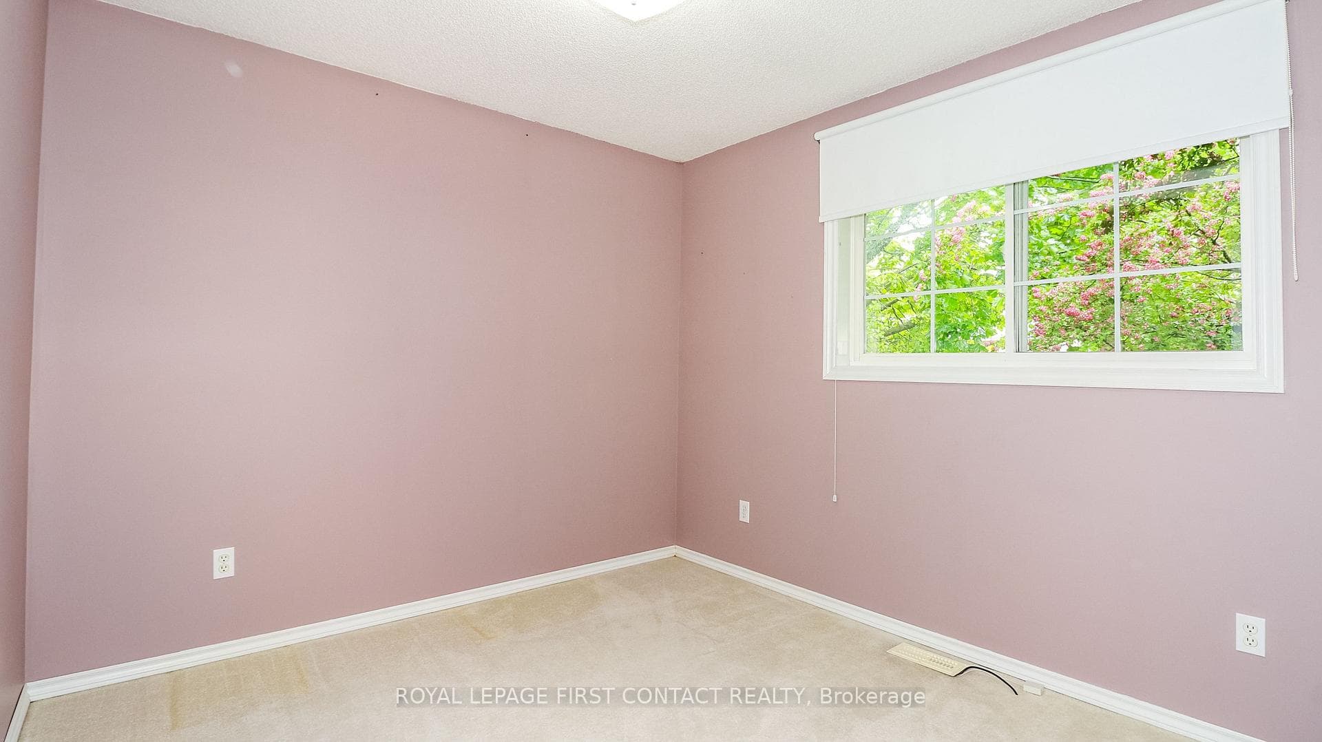 401 Mary Street photo 27