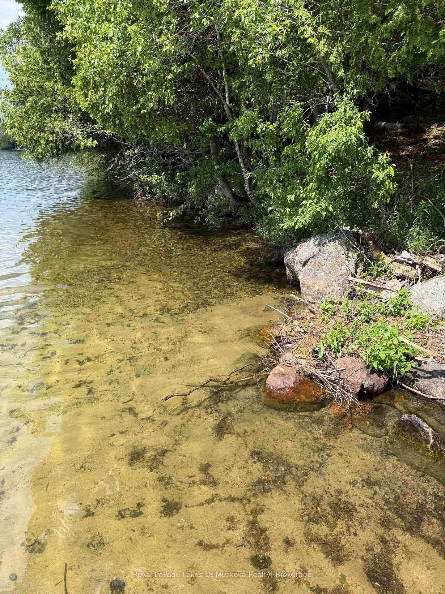 Sand Bottomed Shoreline Looking North Wes