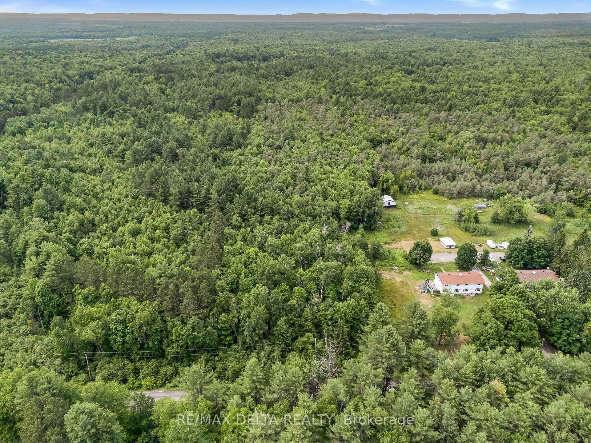 Mature trees on 2.56 acres.