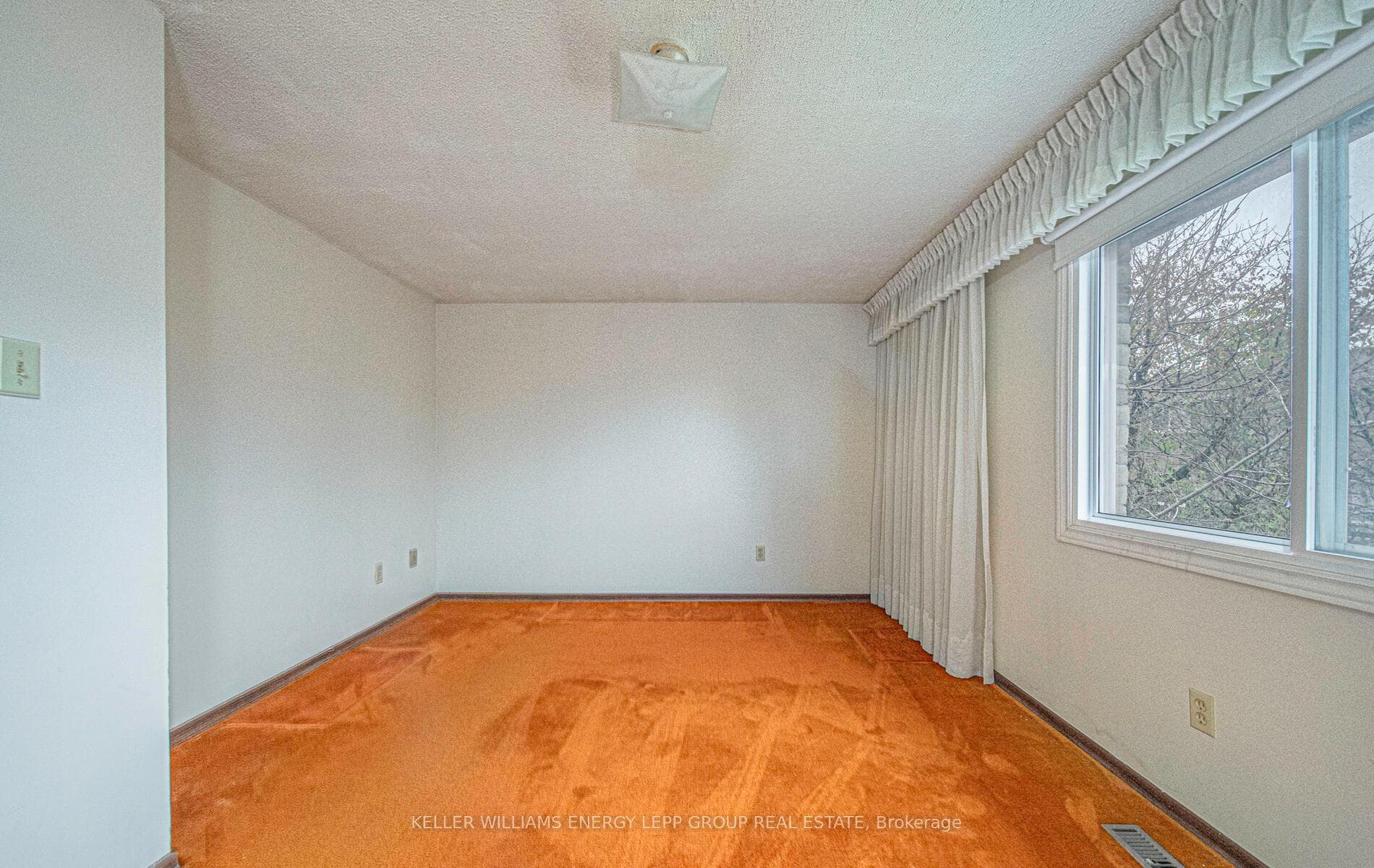 6 Maitland Drive photo 14