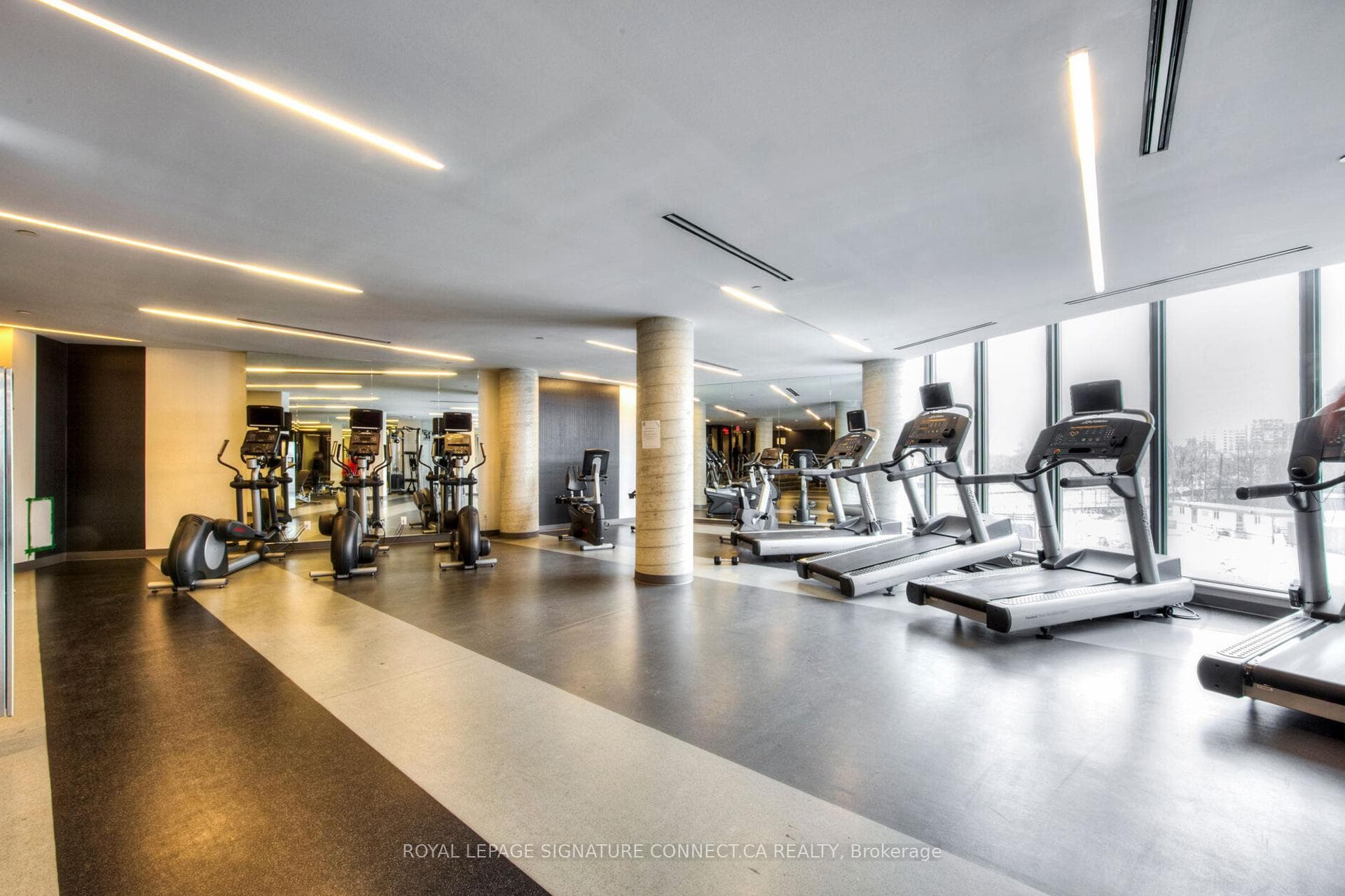 gym