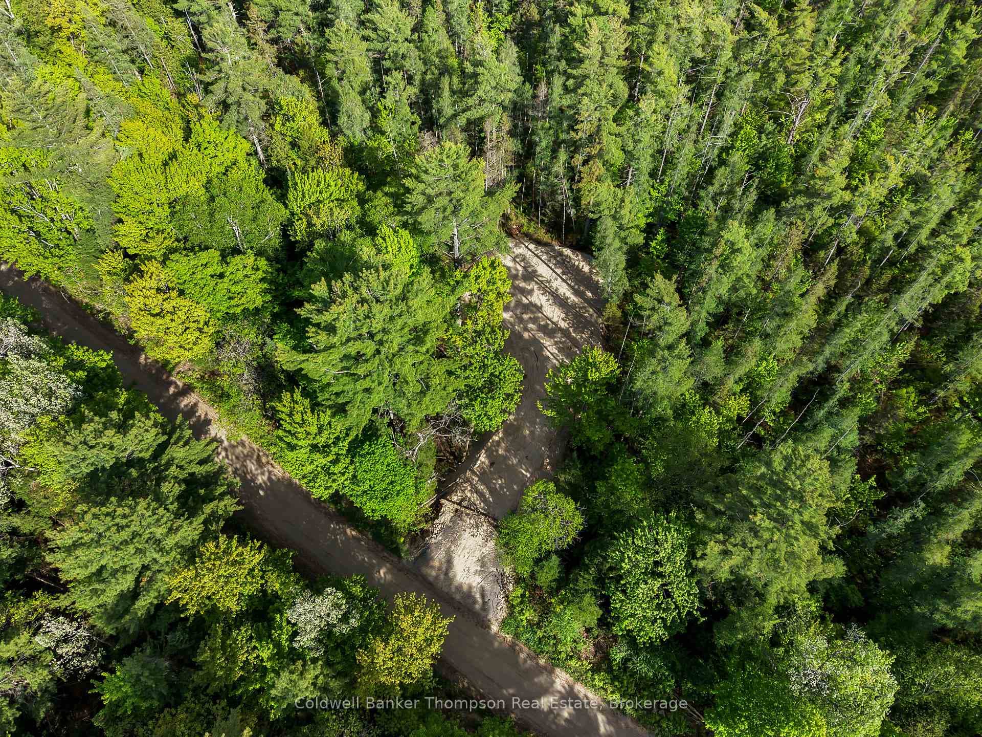 PART 6 AXE LAKE Road photo 5