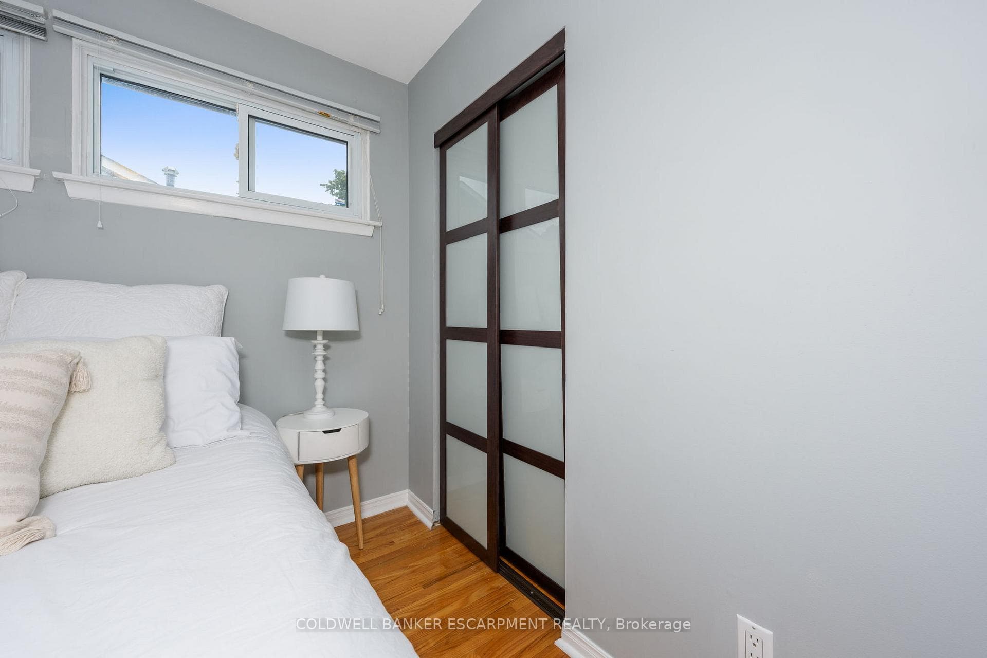 225 Elmore Drive photo 28