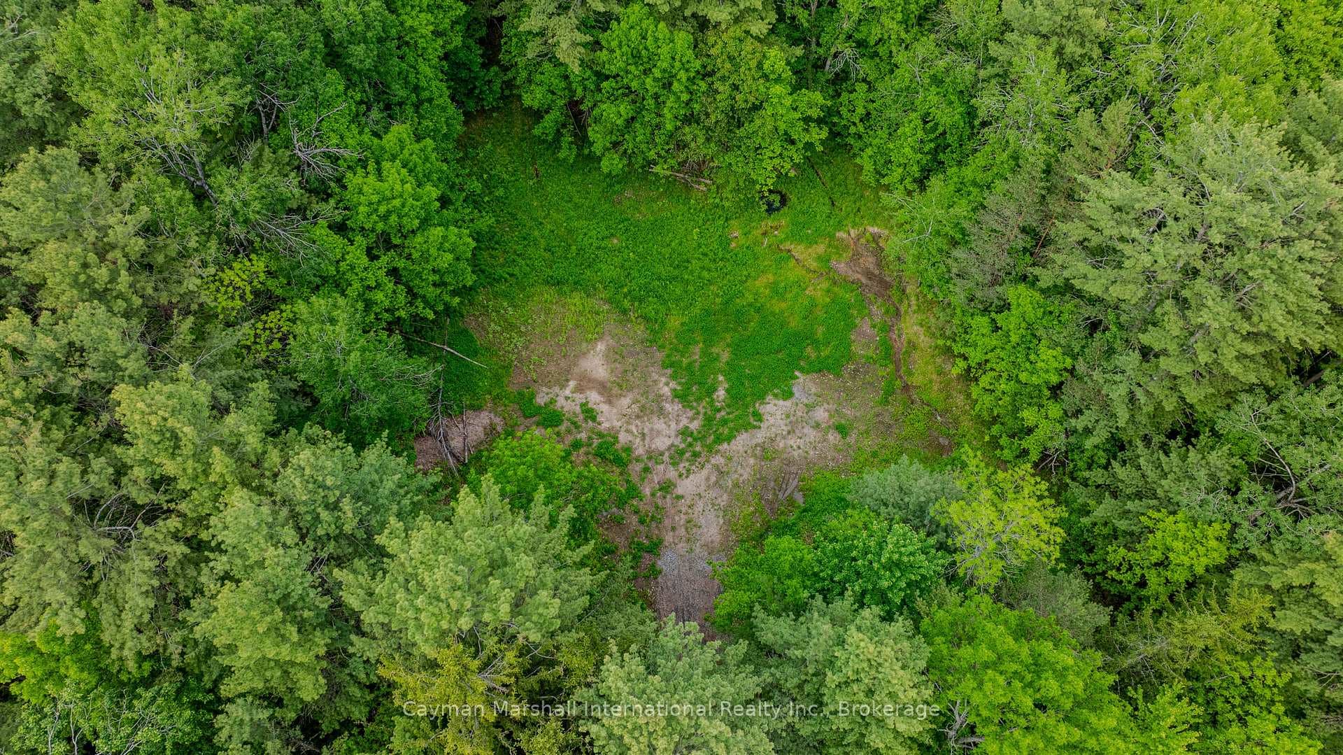 2682 Muskoka District 118 Road photo 8