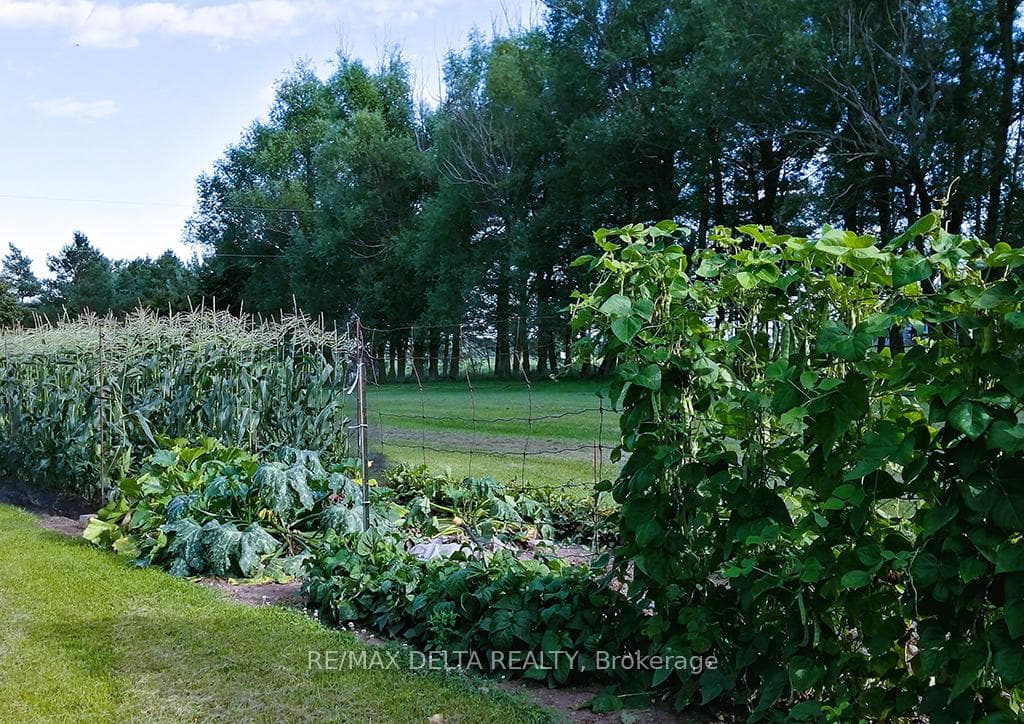 Healthy soil: great yields.