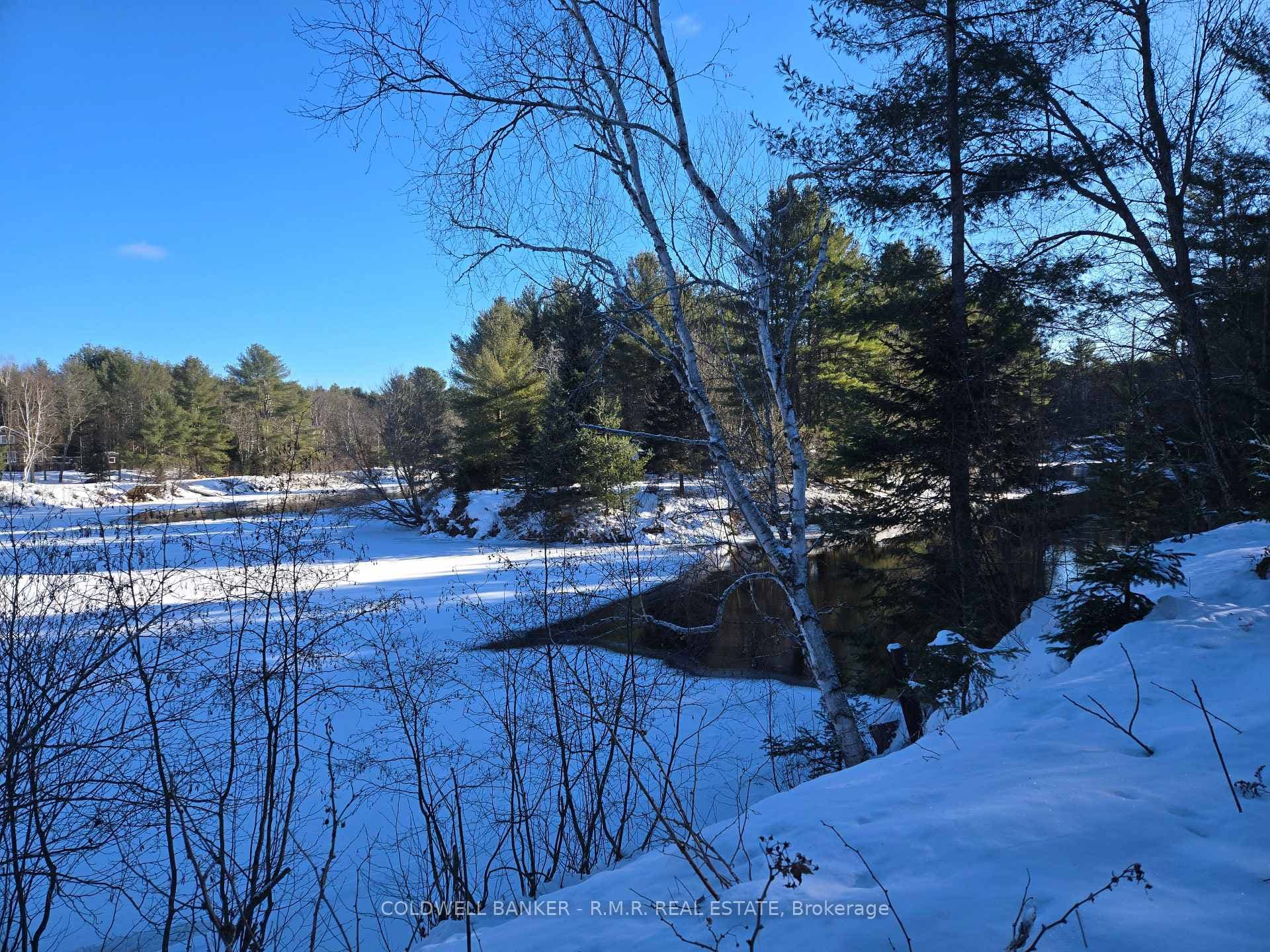 1371 Howland Junction Road photo 22