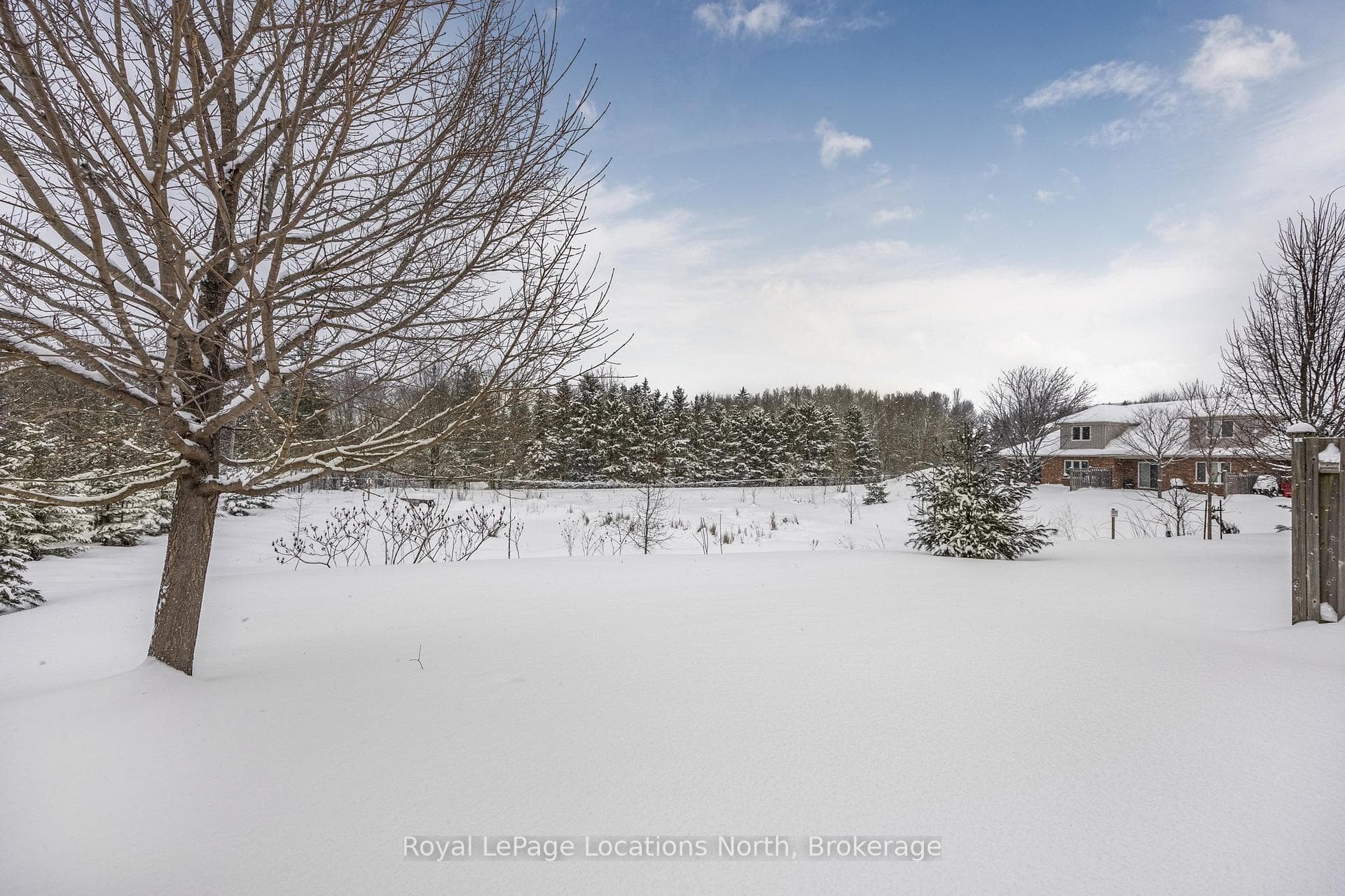 4 Russett Drive photo 29